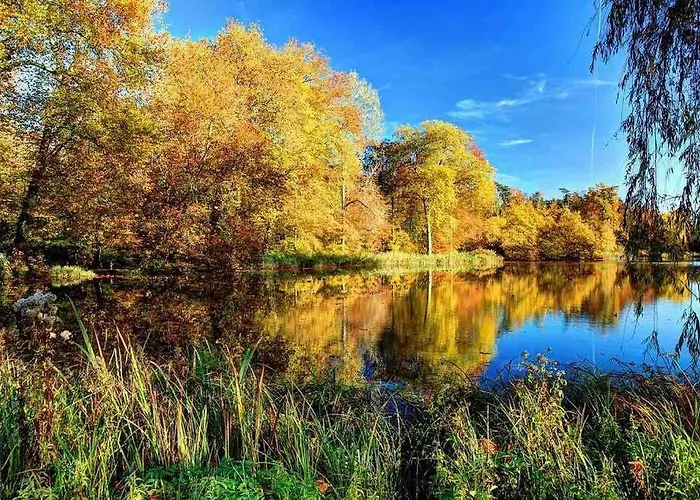 Apartment Le Florentin - Hyper Centre